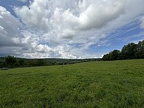 Nienover Pfingsten 24